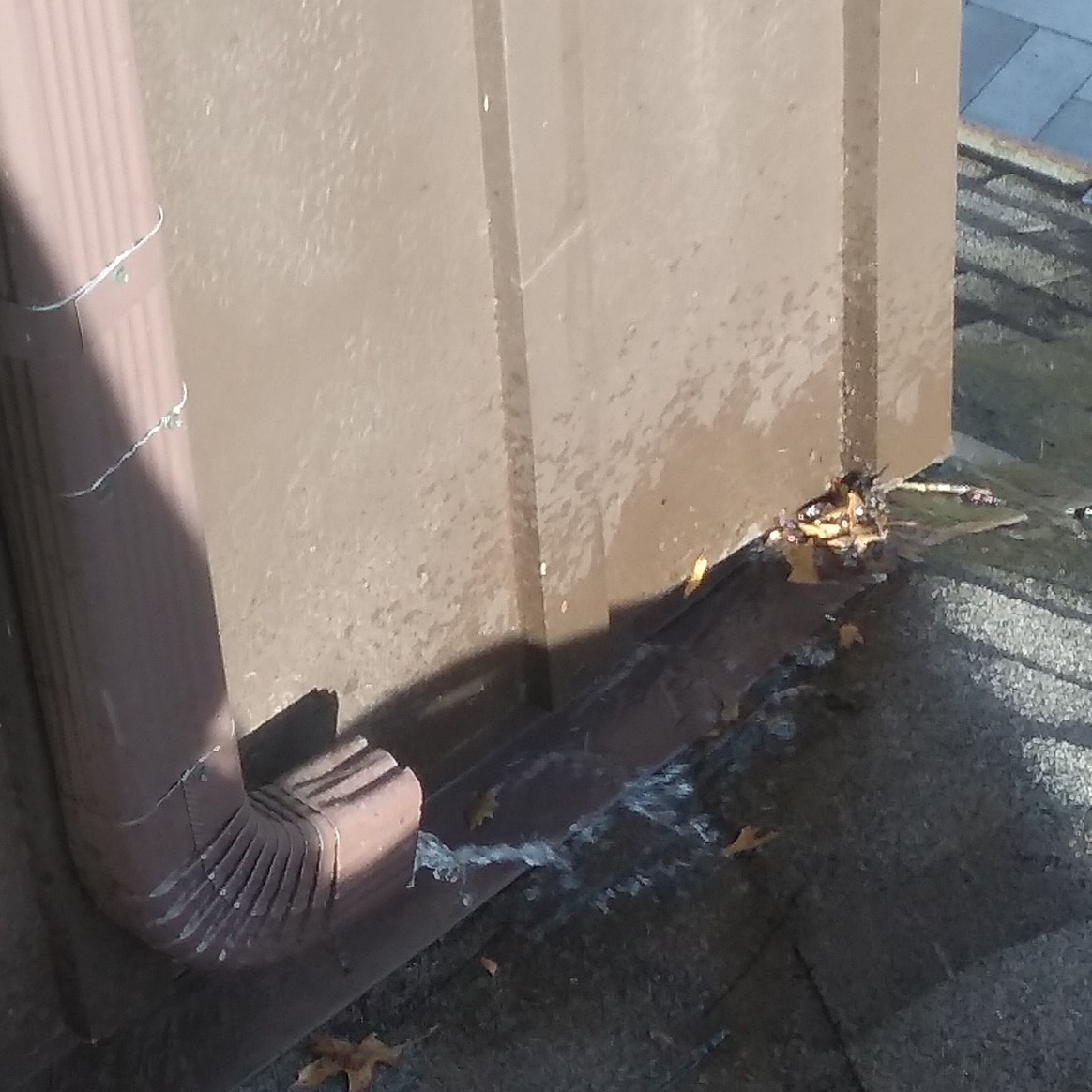 house gutter cleaners near me