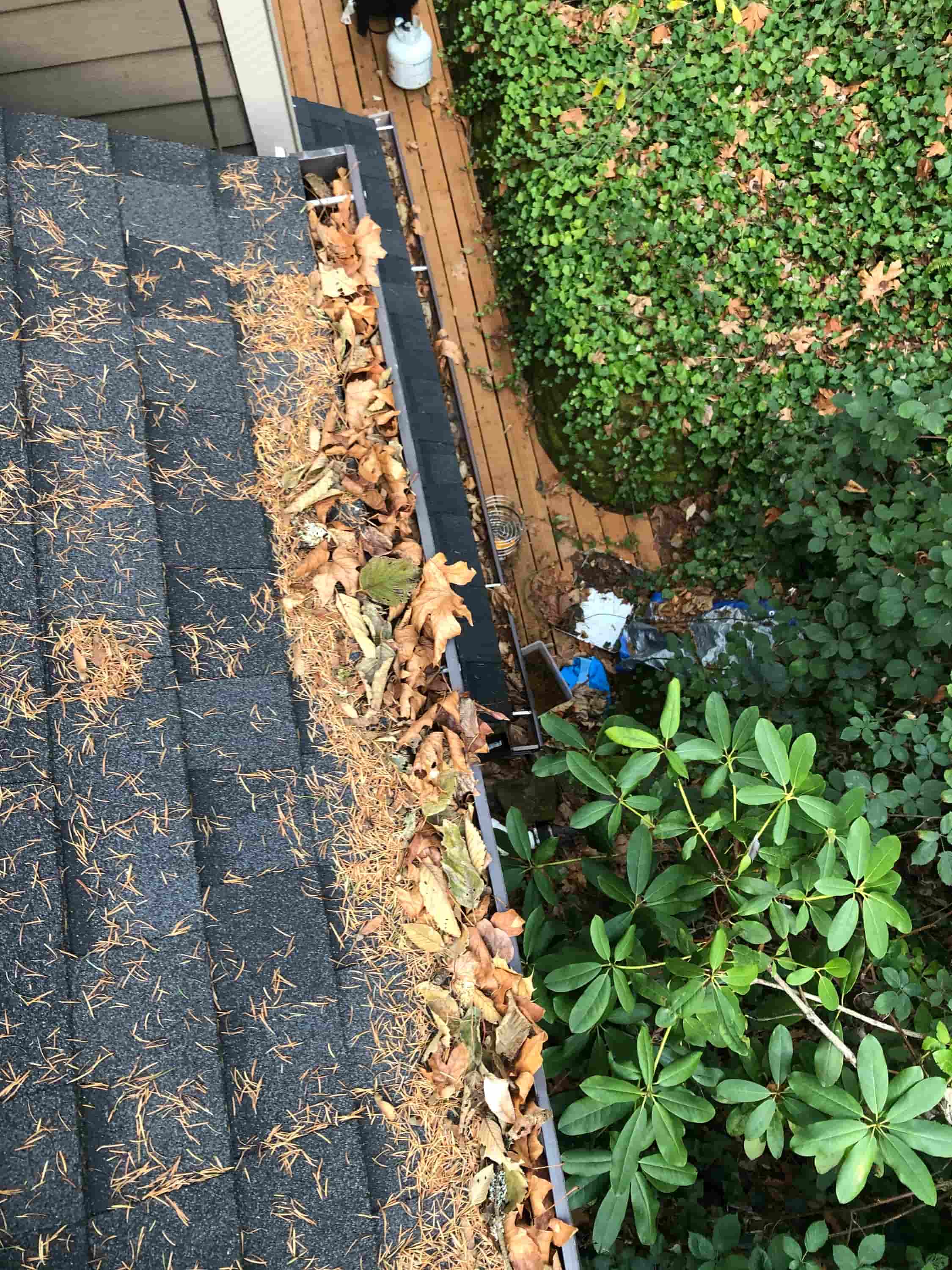 gutter roof cleaning