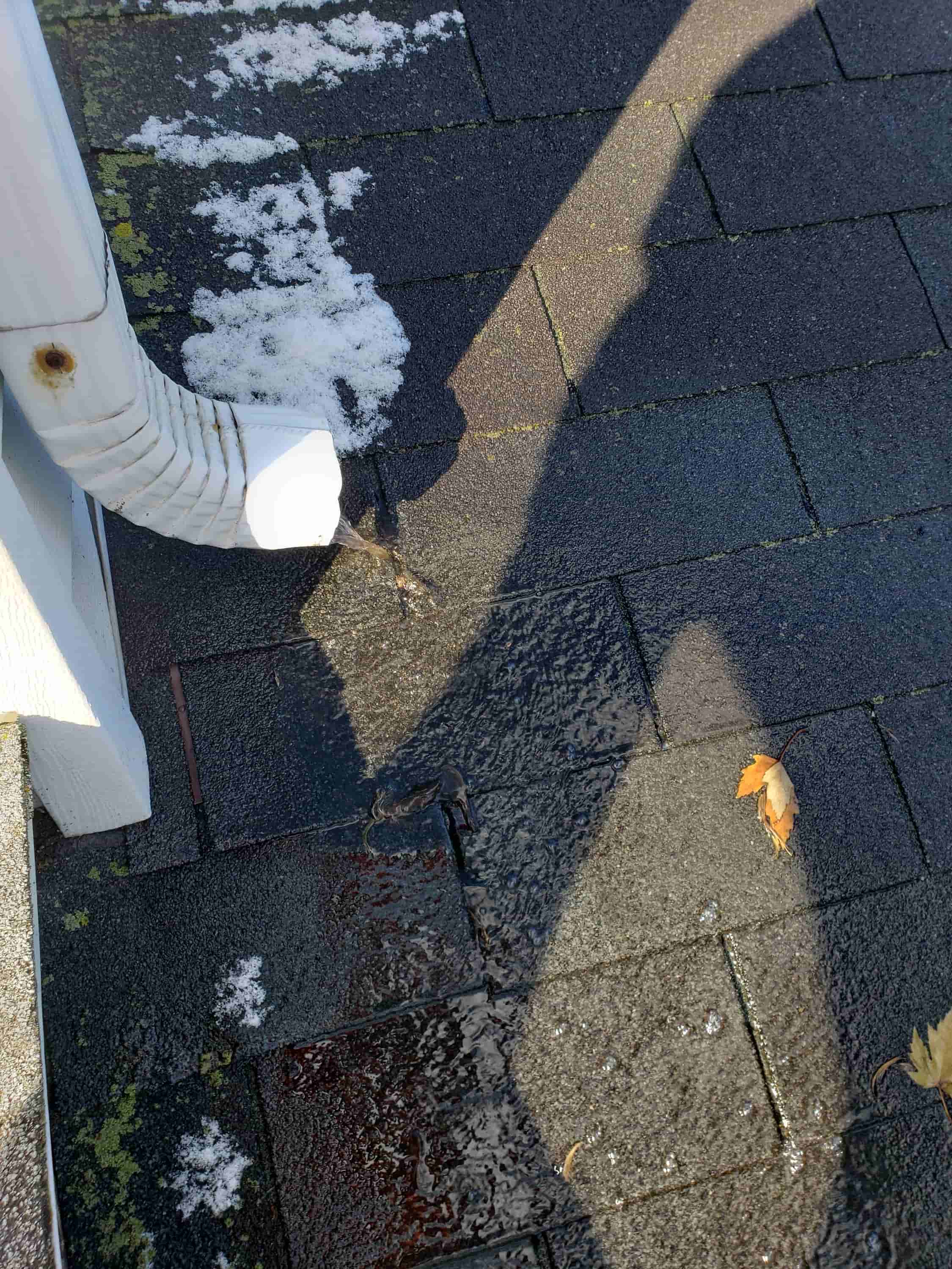 clean 2nd story gutters from ground