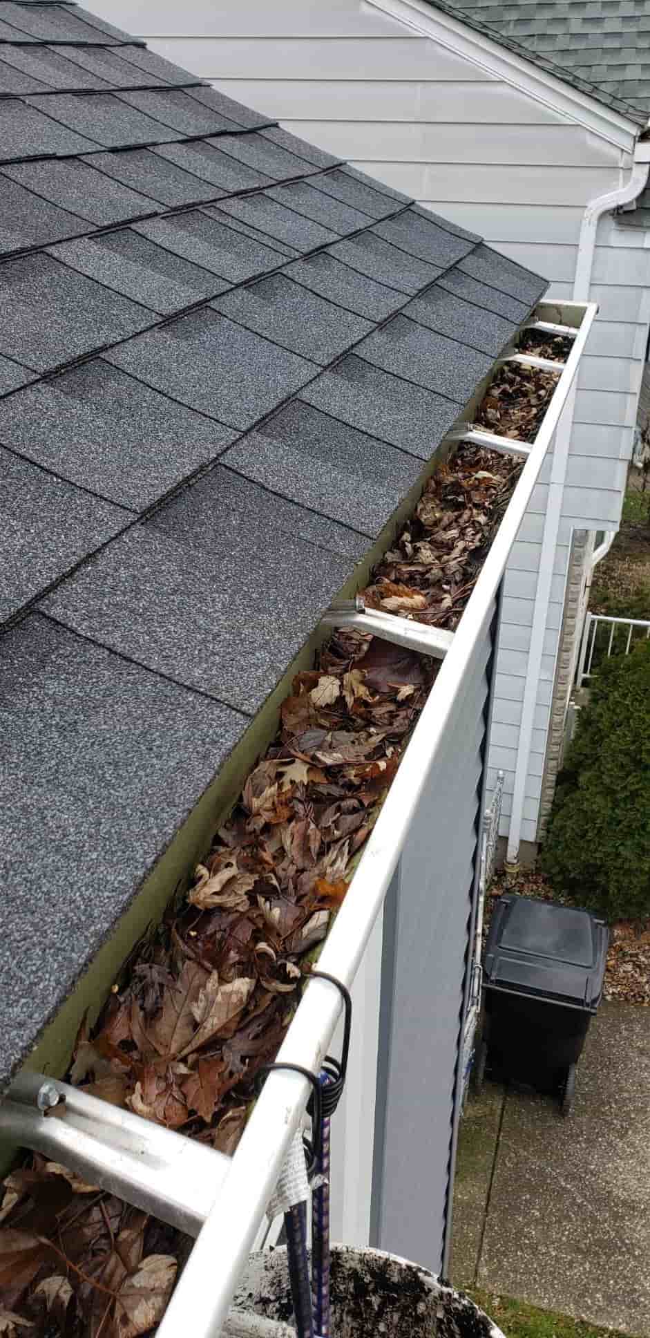 best gutter cleaner solution