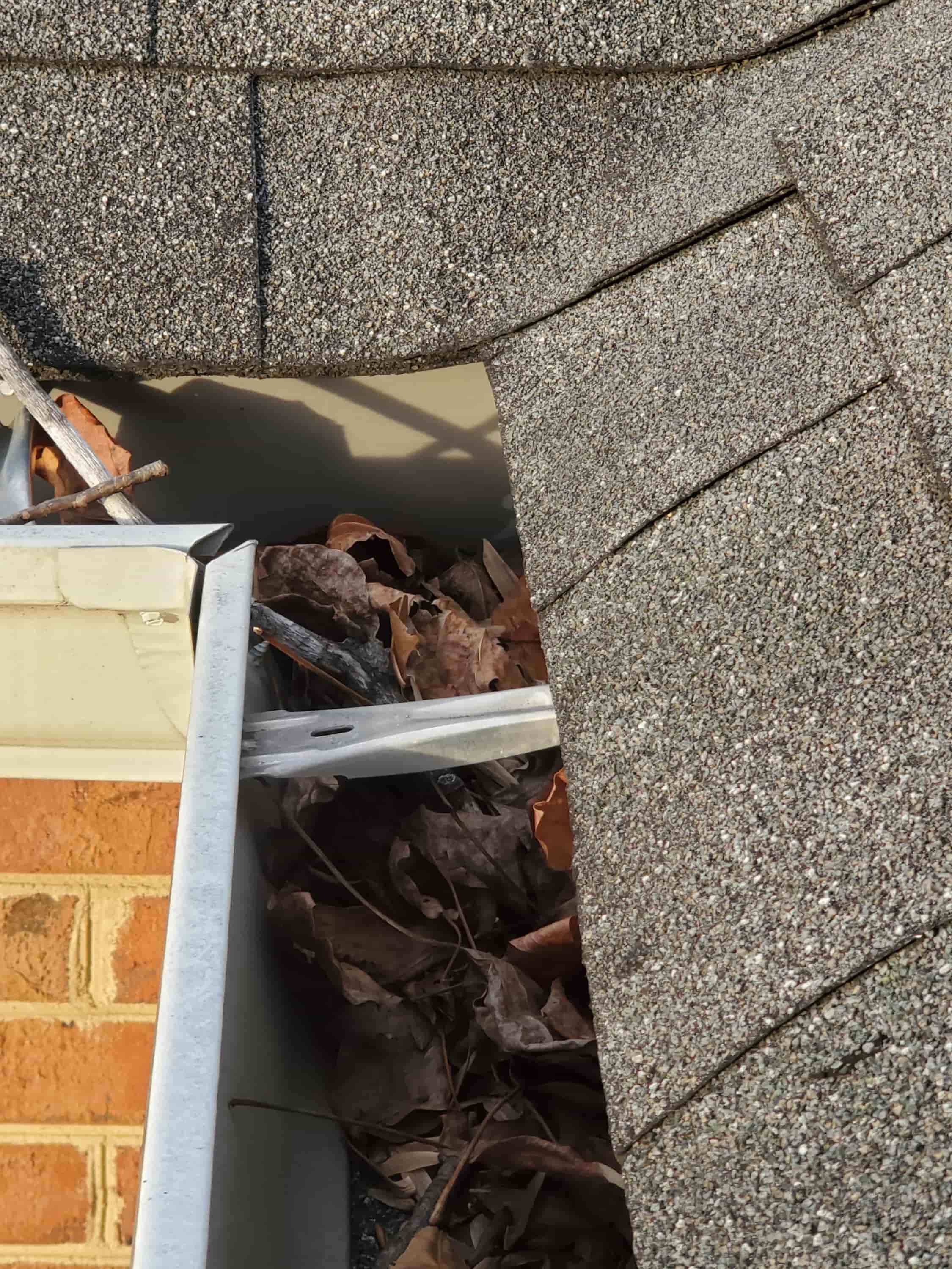 plumber's snake for gutters