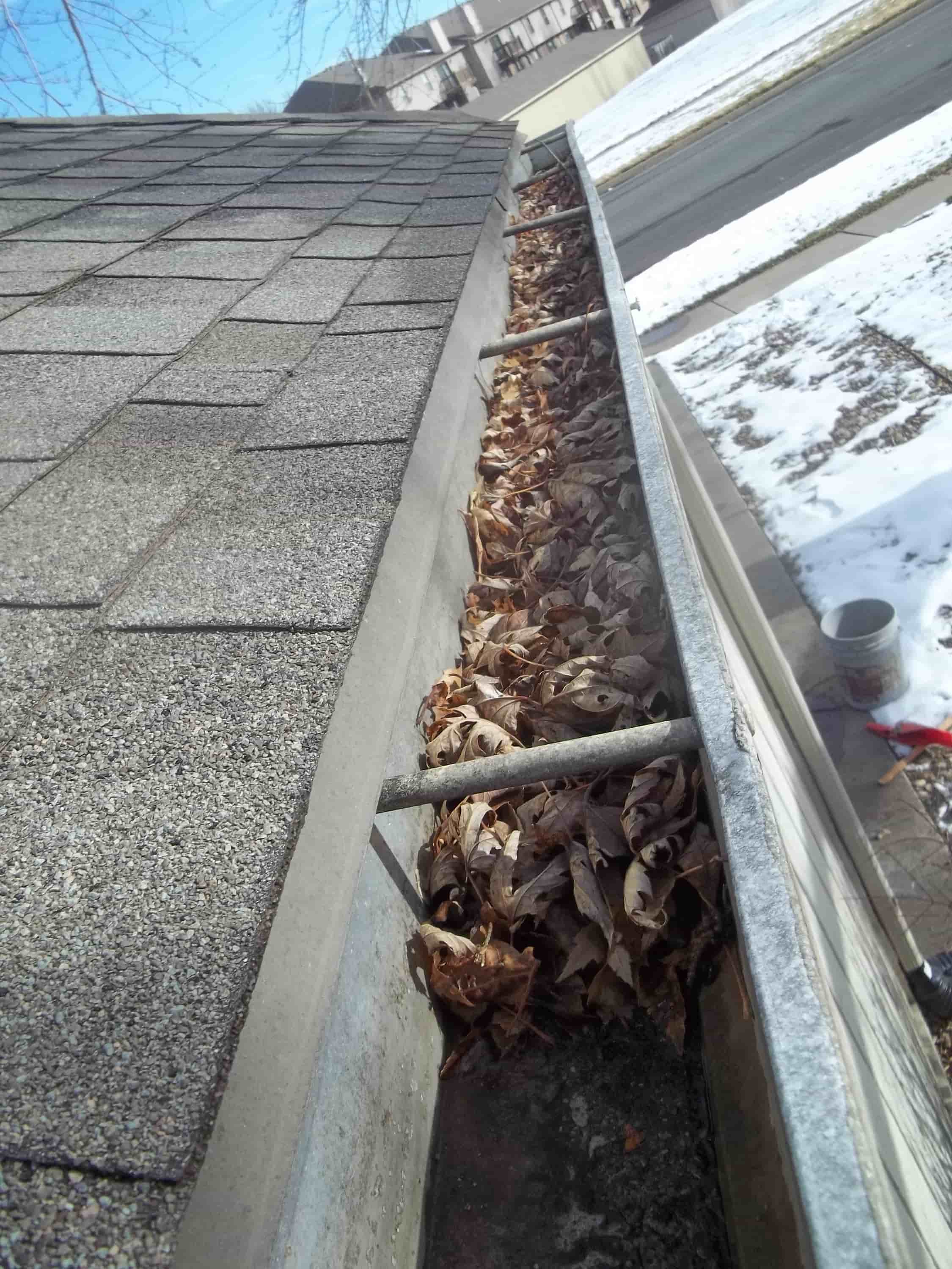 gutter cleaning and painting