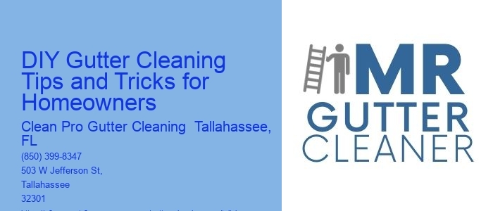 DIY Gutter Cleaning Tips and Tricks for Homeowners