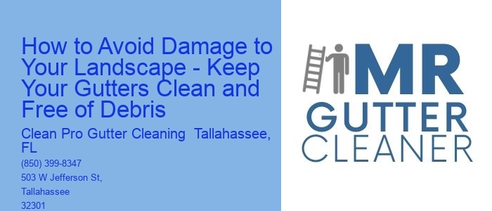 How to Avoid Damage to Your Landscape - Keep Your Gutters Clean and Free of Debris