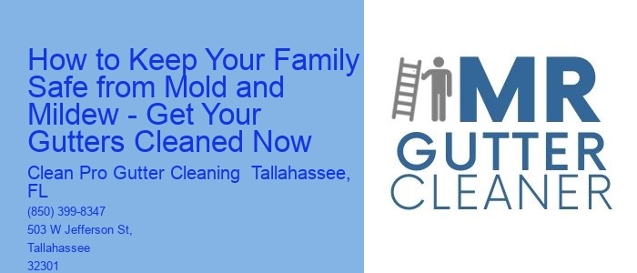How to Keep Your Family Safe from Mold and Mildew - Get Your Gutters Cleaned Now