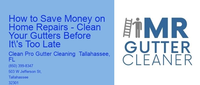 How to Save Money on Home Repairs - Clean Your Gutters Before It's Too Late