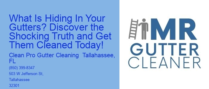 What Is Hiding In Your Gutters? Discover the Shocking Truth and Get Them Cleaned Today!
