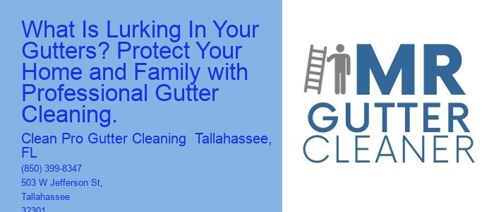 What Is Lurking In Your Gutters? Protect Your Home and Family with Professional Gutter Cleaning.