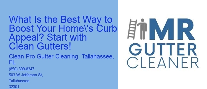 What Is the Best Way to Boost Your Home's Curb Appeal? Start with Clean Gutters!