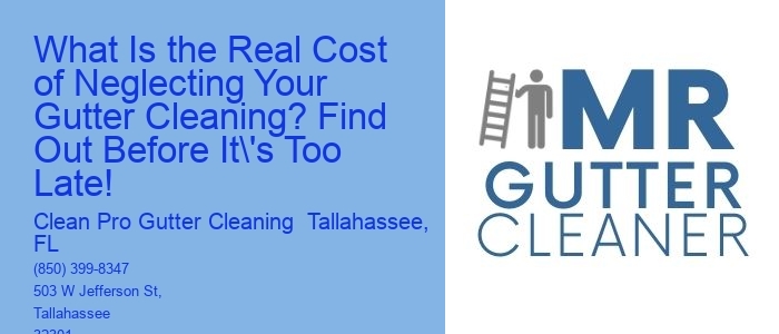What Is the Real Cost of Neglecting Your Gutter Cleaning? Find Out Before It's Too Late!