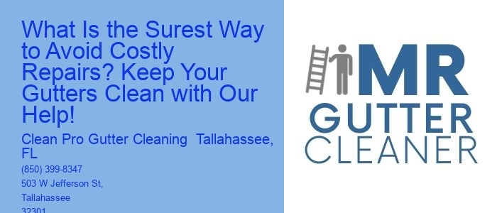 What Is the Surest Way to Avoid Costly Repairs? Keep Your Gutters Clean with Our Help!