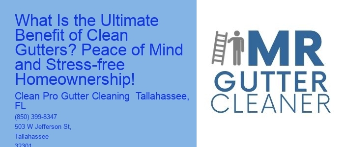 What Is the Ultimate Benefit of Clean Gutters? Peace of Mind and Stress-free Homeownership!