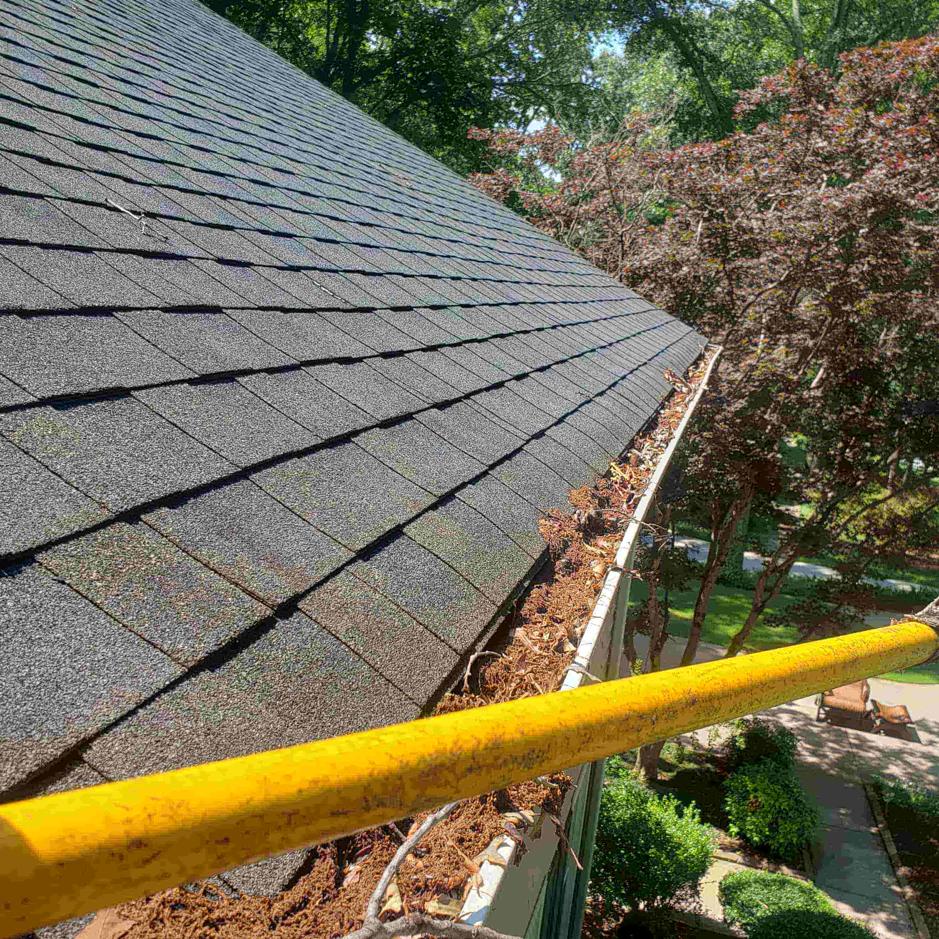 need gutters cleaned