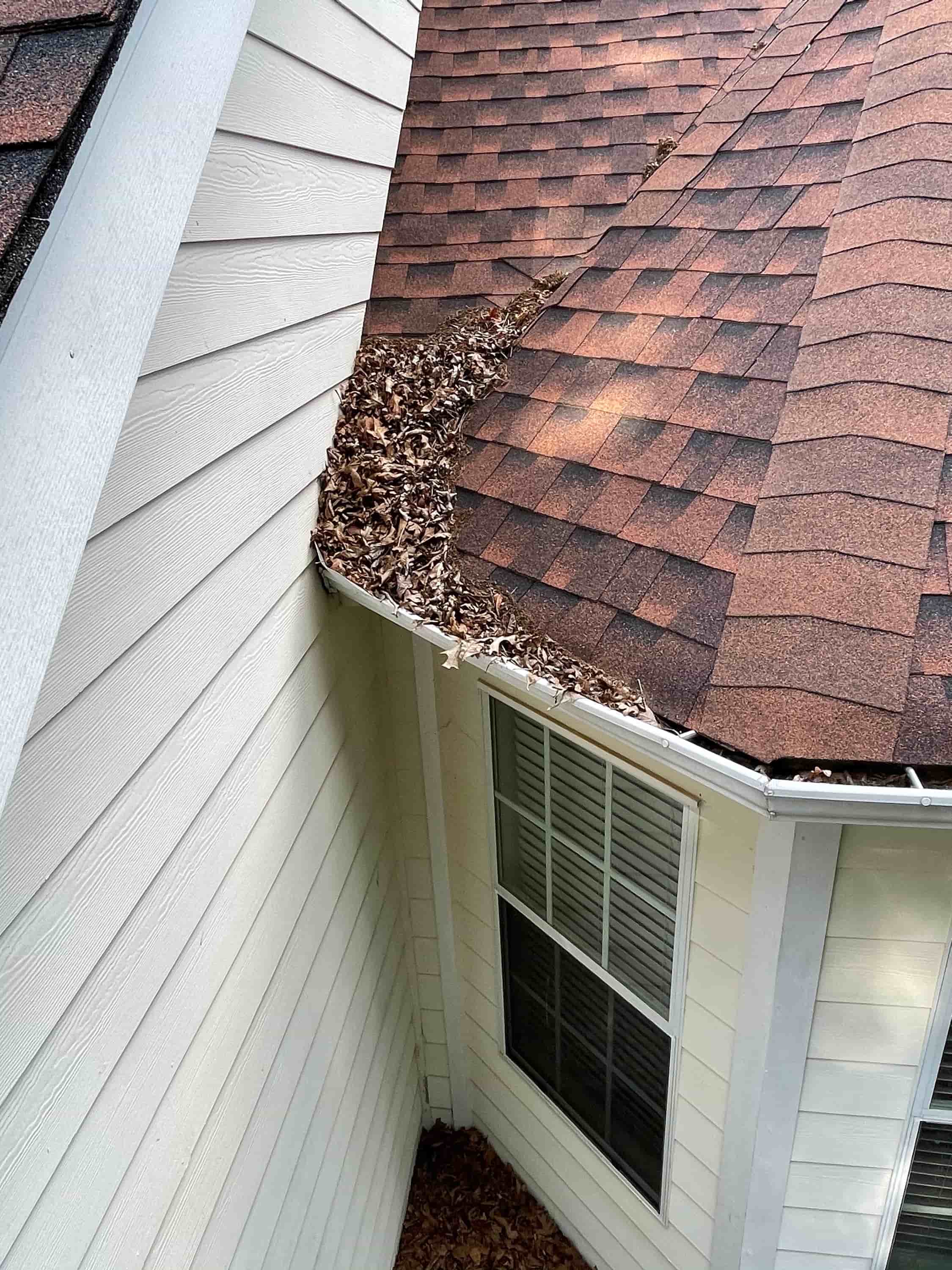 ladder for cleaning gutters