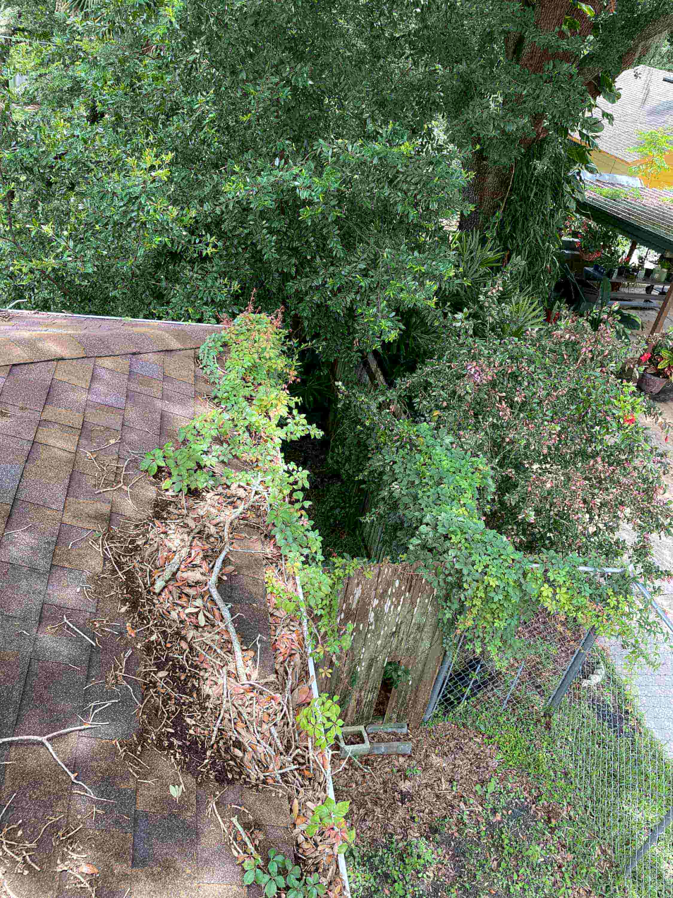 clean leaves out of gutter