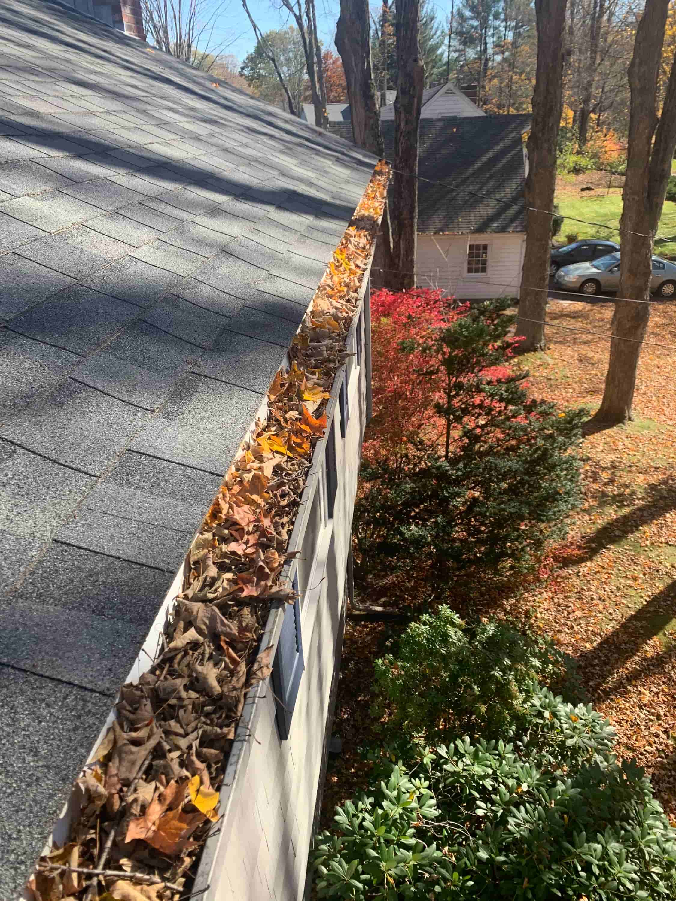 fall gutter cleaning