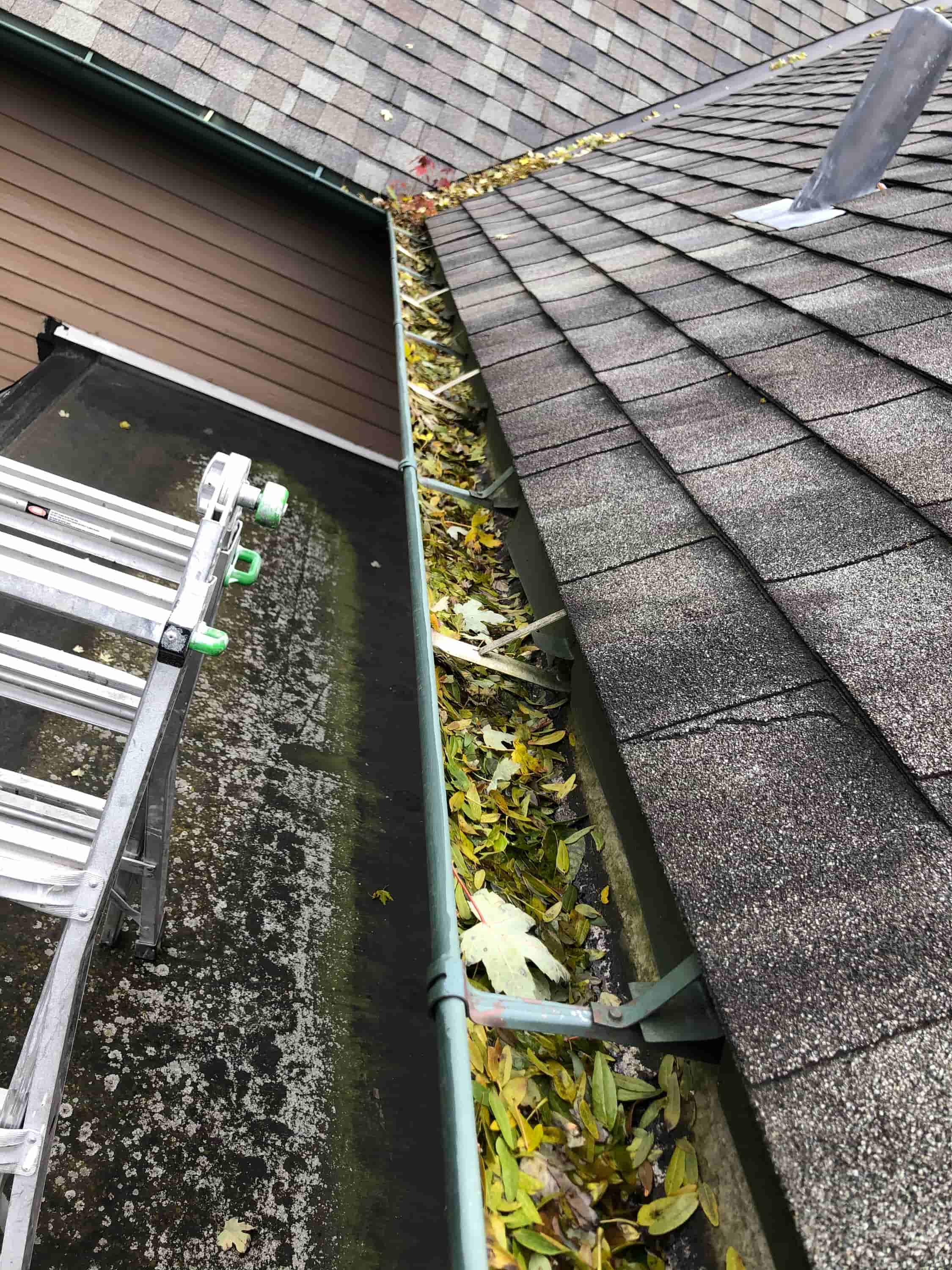 leaf blower to clean gutters