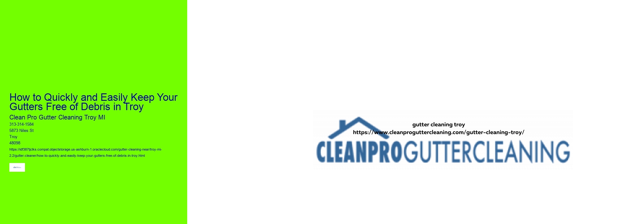 How to Quickly and Easily Keep Your Gutters Free of Debris in Troy 