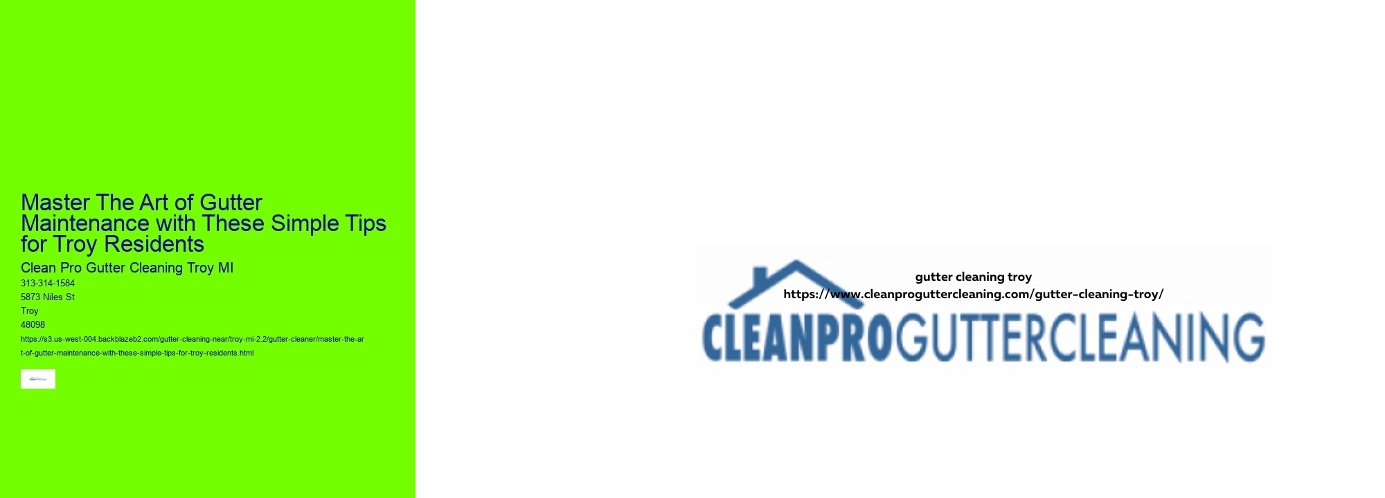 Master The Art of Gutter Maintenance with These Simple Tips for Troy Residents 