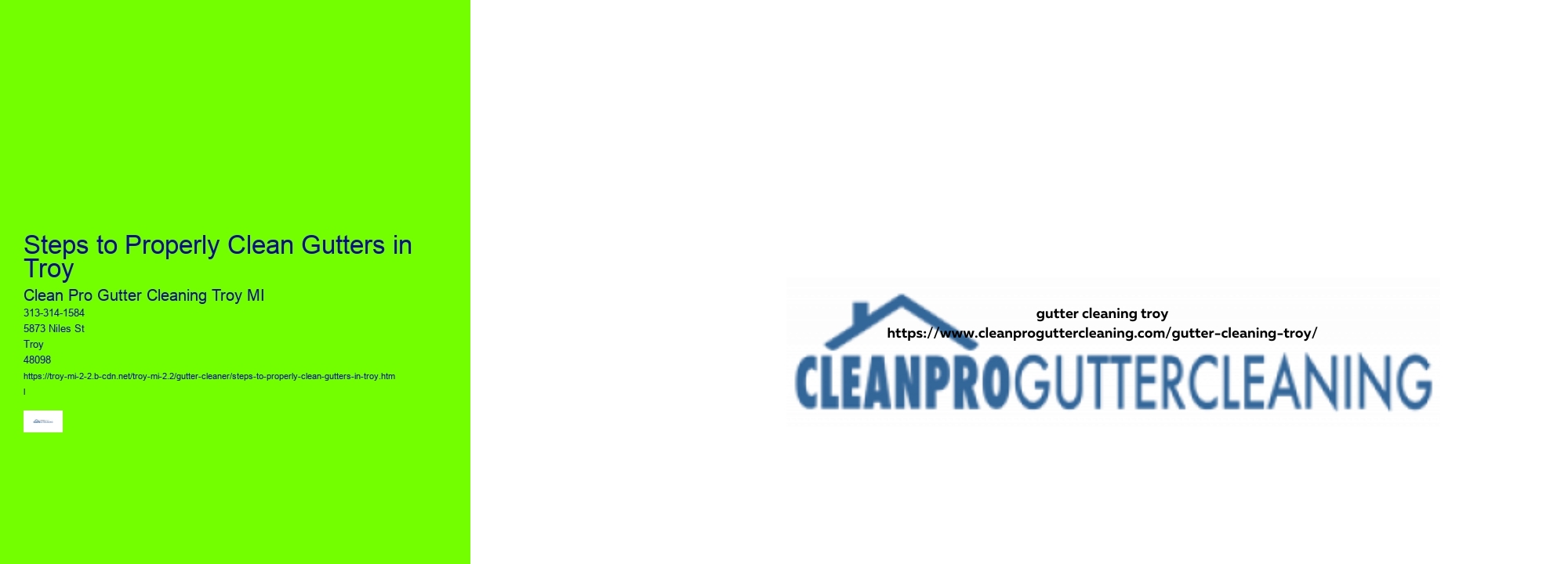 Steps to Properly Clean Gutters in Troy