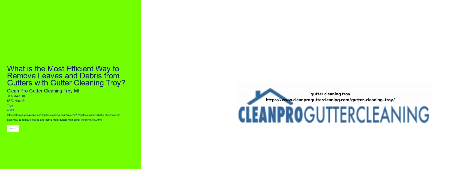 What is the Most Efficient Way to Remove Leaves and Debris from Gutters with Gutter Cleaning Troy?