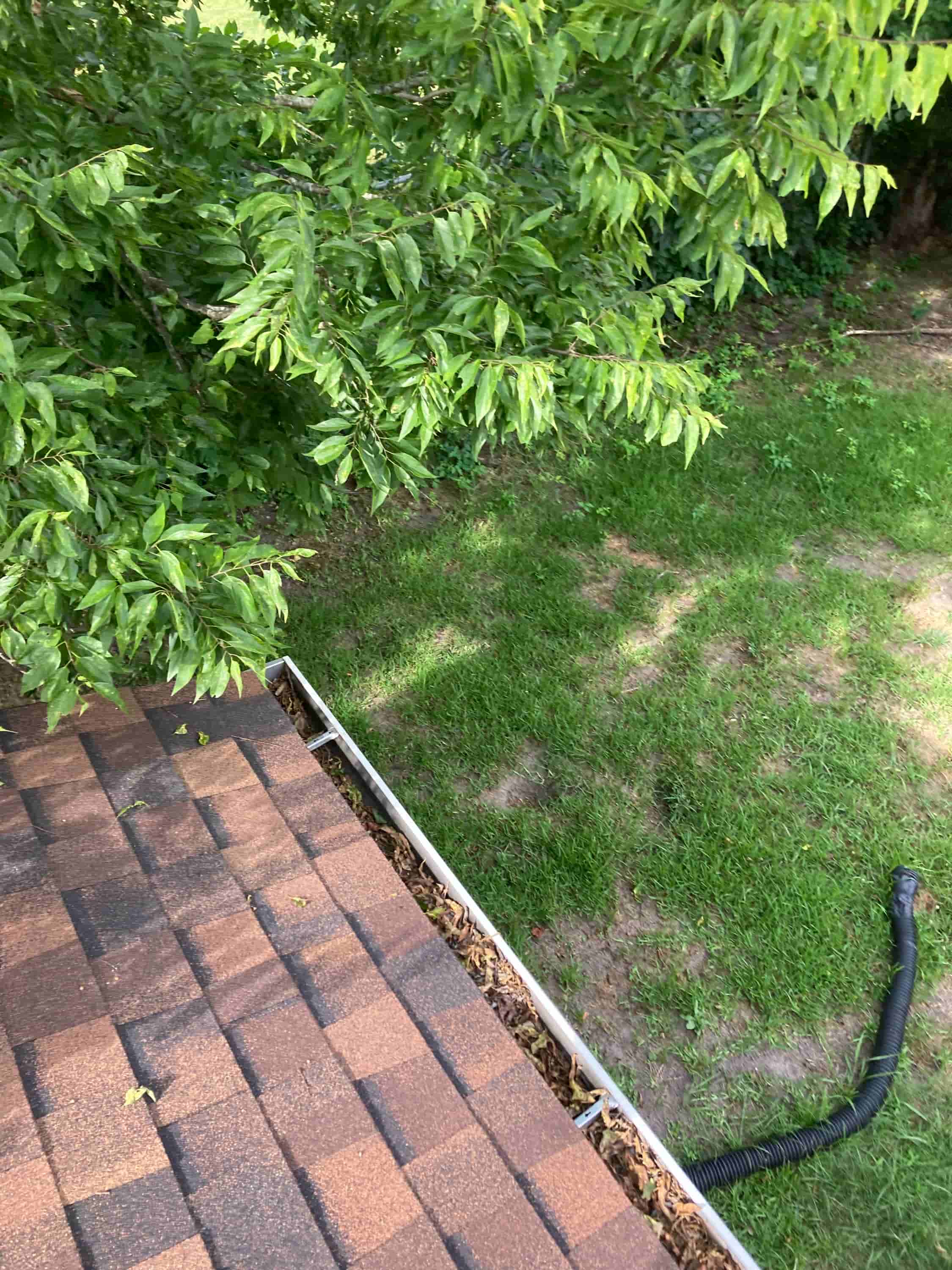 diy gutter cleaning from the ground