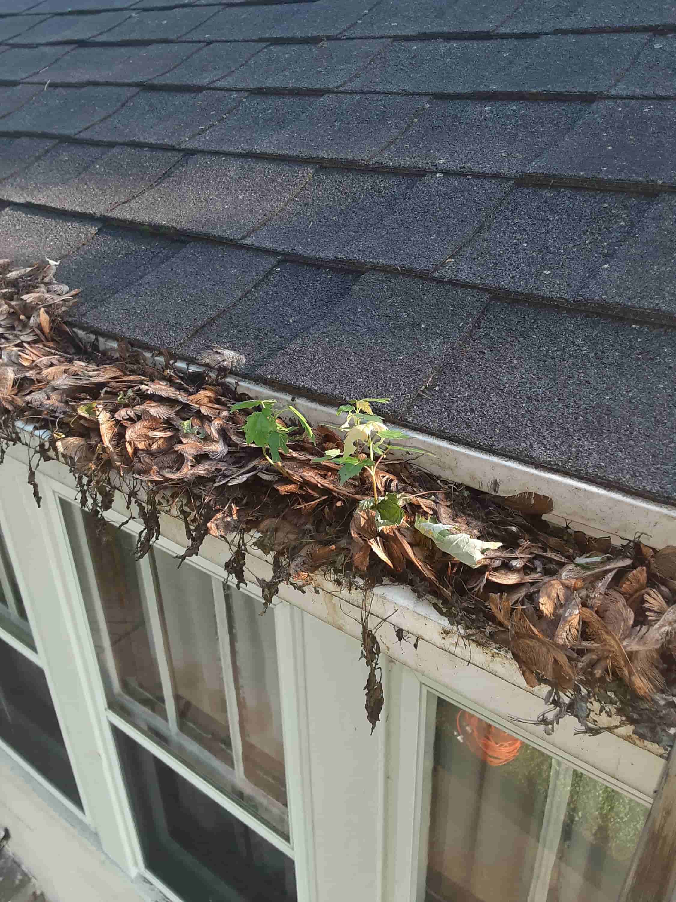 cleaning gutter downspouts