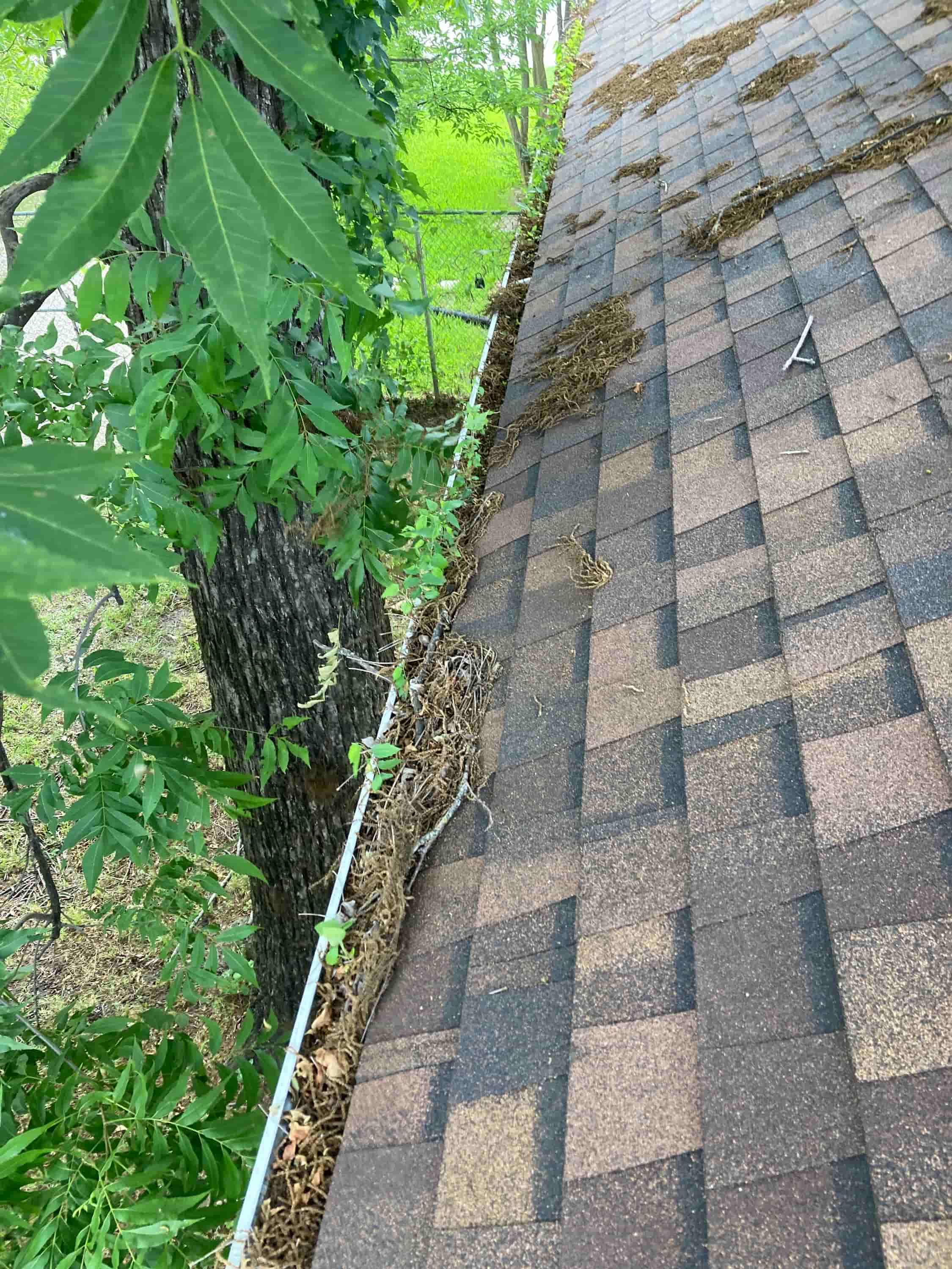 unclog gutter downspouts