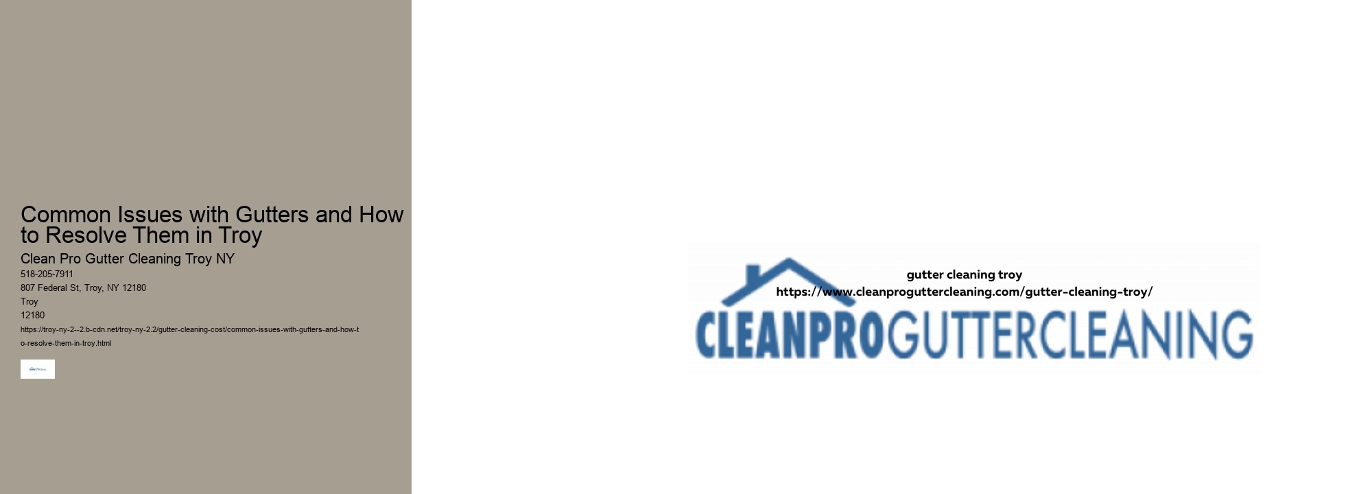 Common Issues with Gutters and How to Resolve Them in Troy 