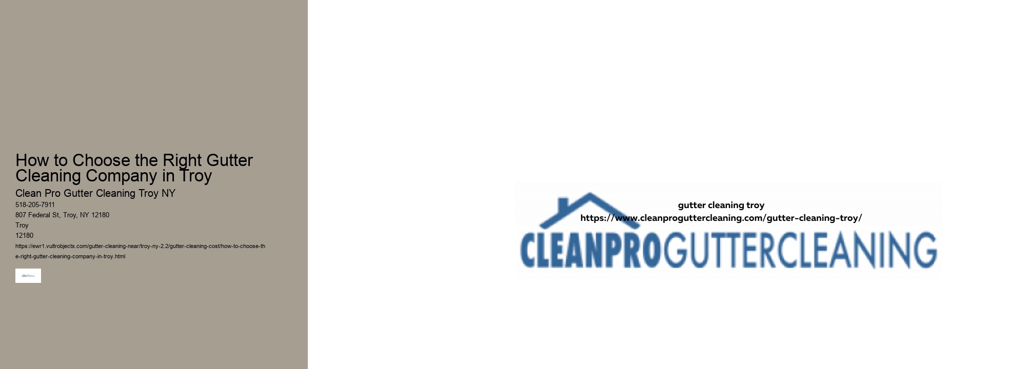 How to Choose the Right Gutter Cleaning Company in Troy 