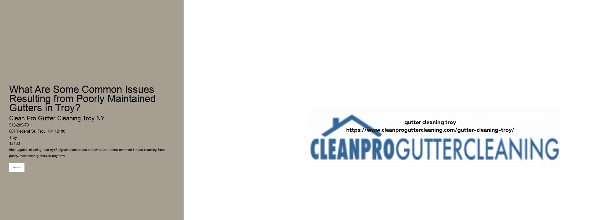 What Are Some Common Issues Resulting from Poorly Maintained Gutters in Troy? 