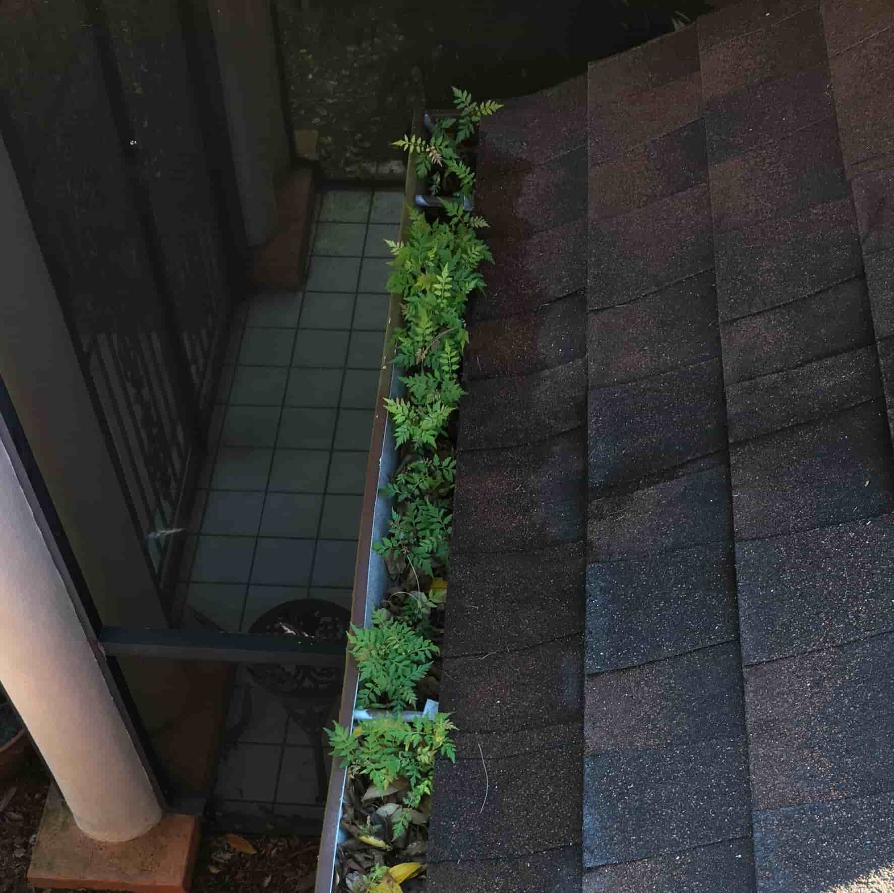 gutter cleaning boca raton