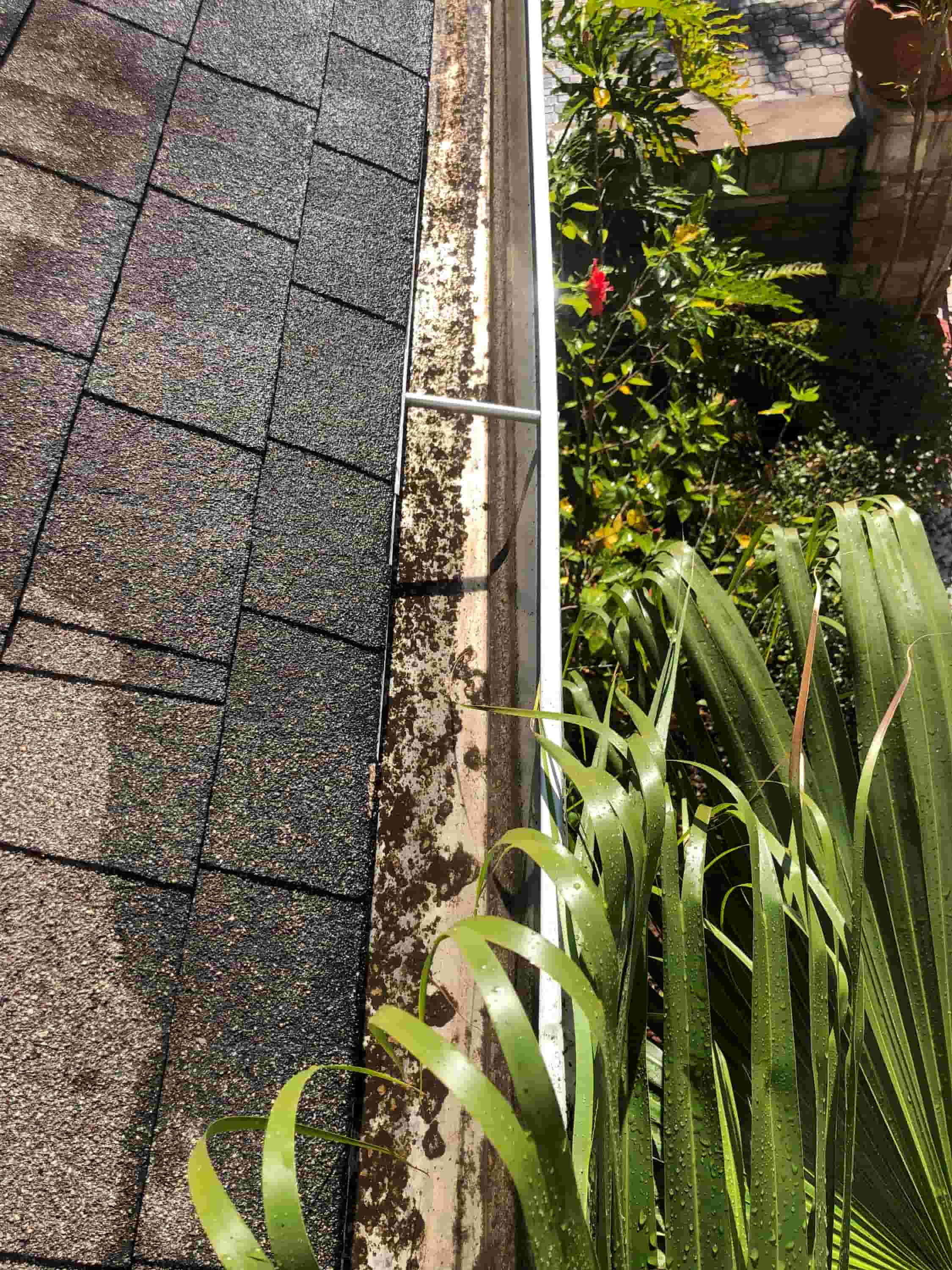 what to charge for gutter cleaning