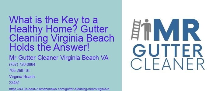 What is the Key to a Healthy Home? Gutter Cleaning Virginia Beach Holds the Answer!