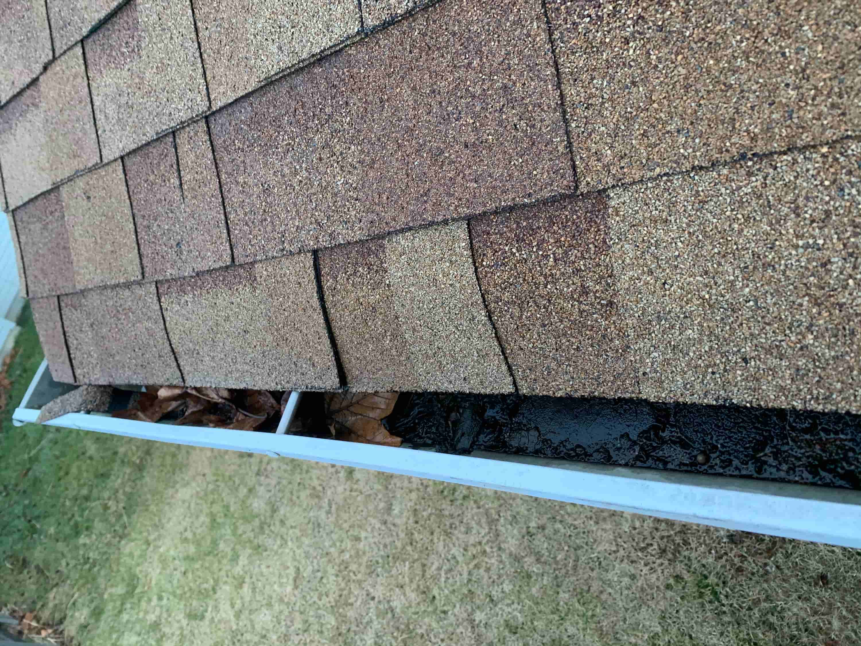 clean gutters from ground level