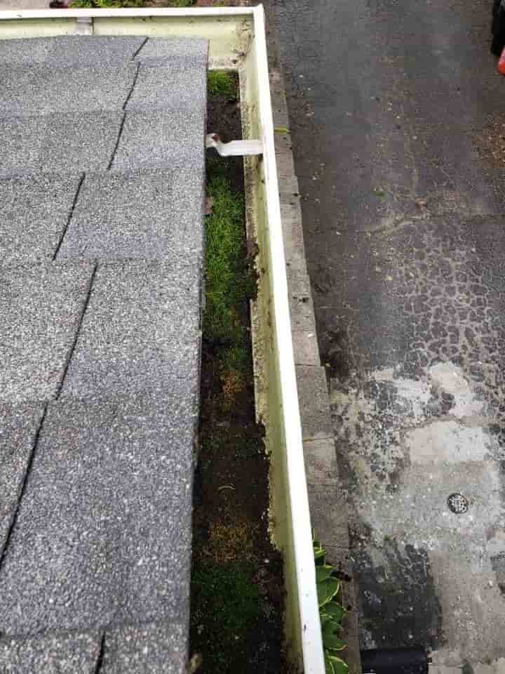 how much gutter cleaning