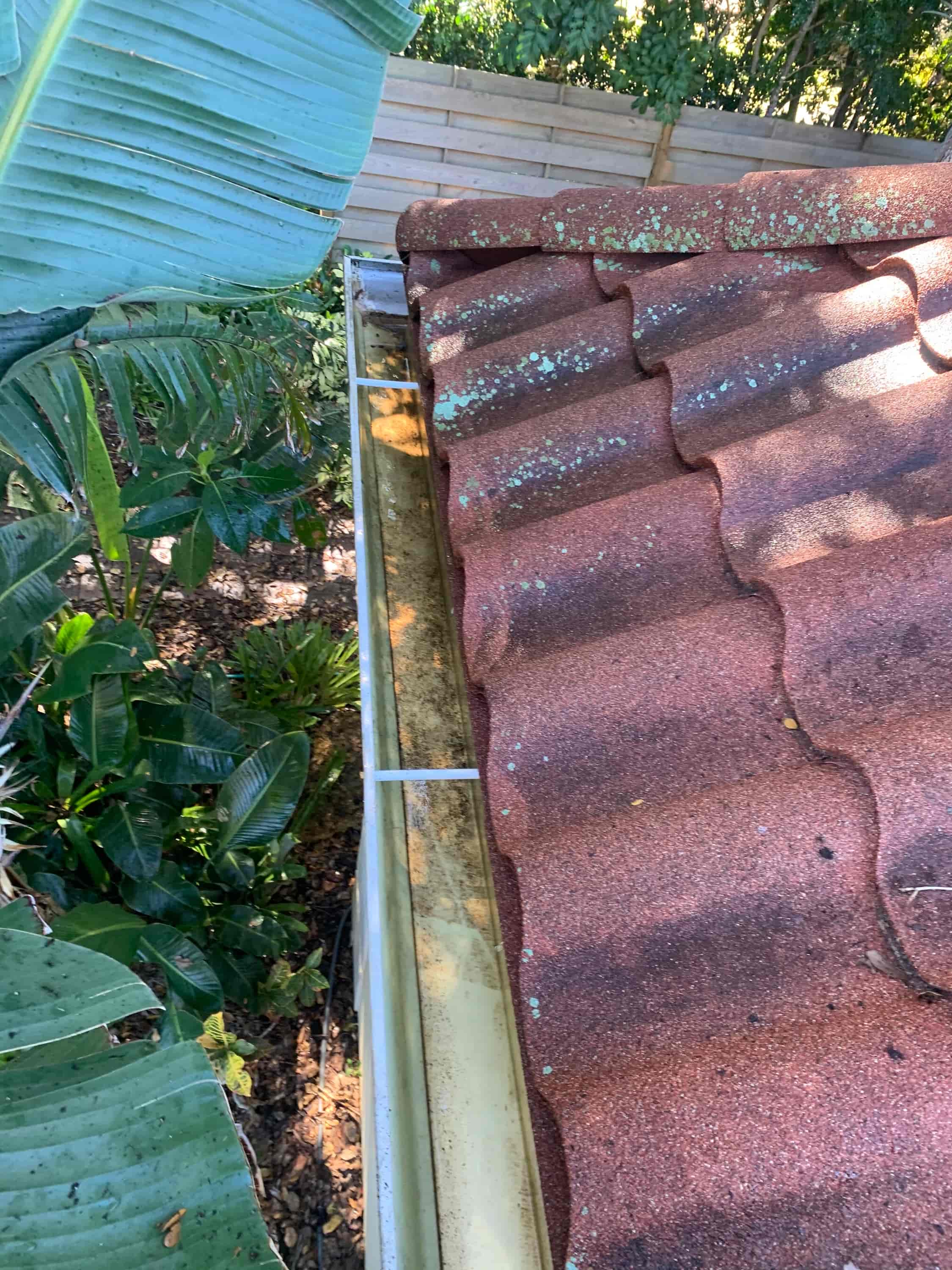 gutter clean out cost