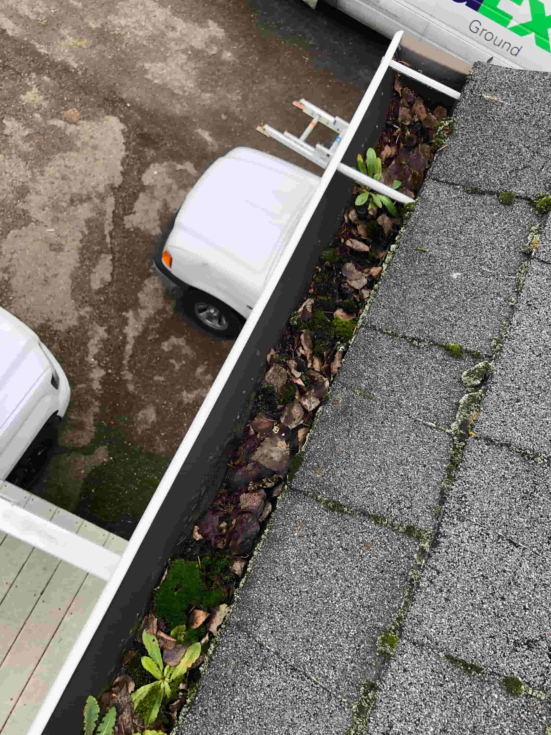 when to get gutters cleaned