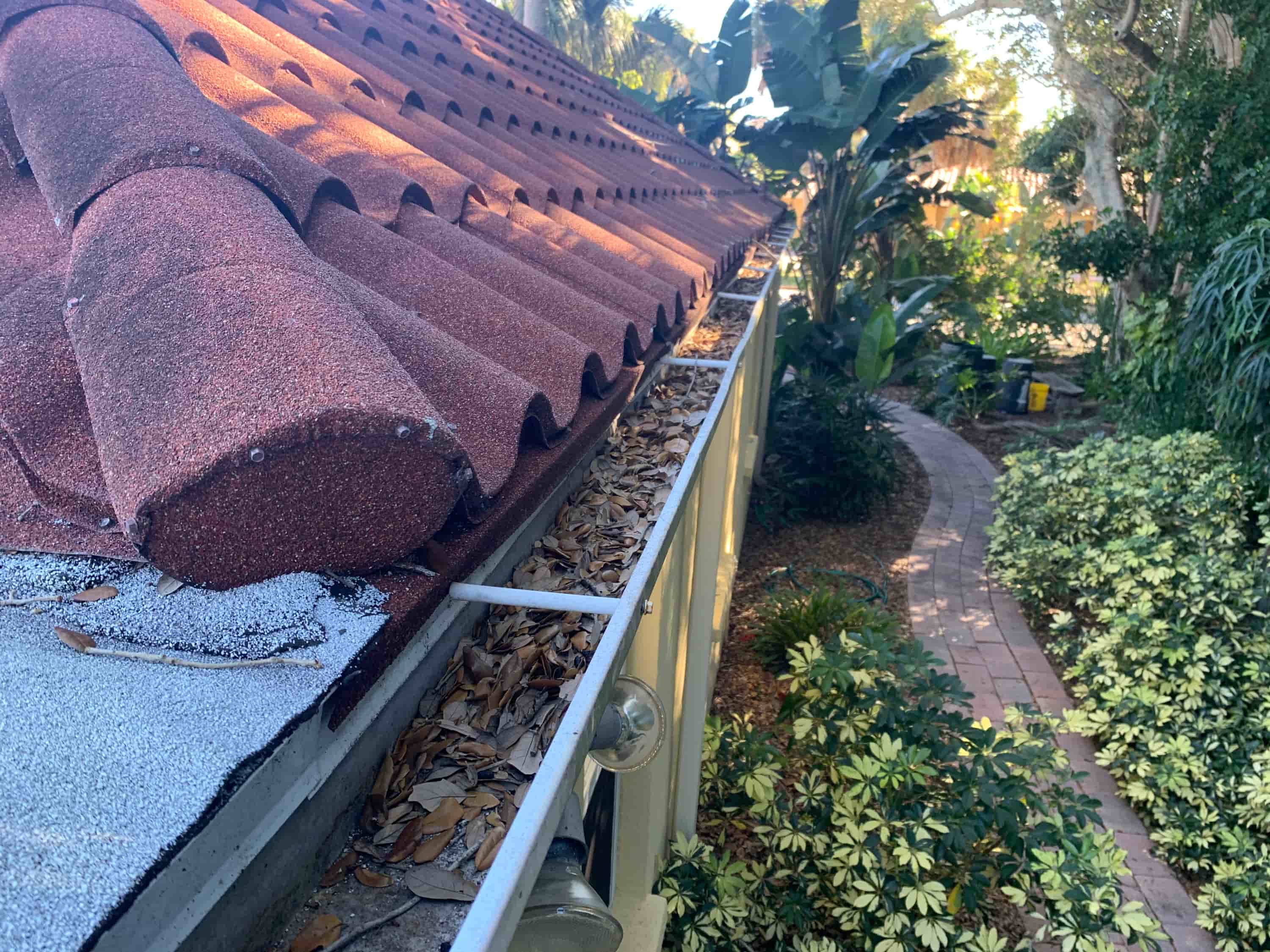 leaves in gutters problems