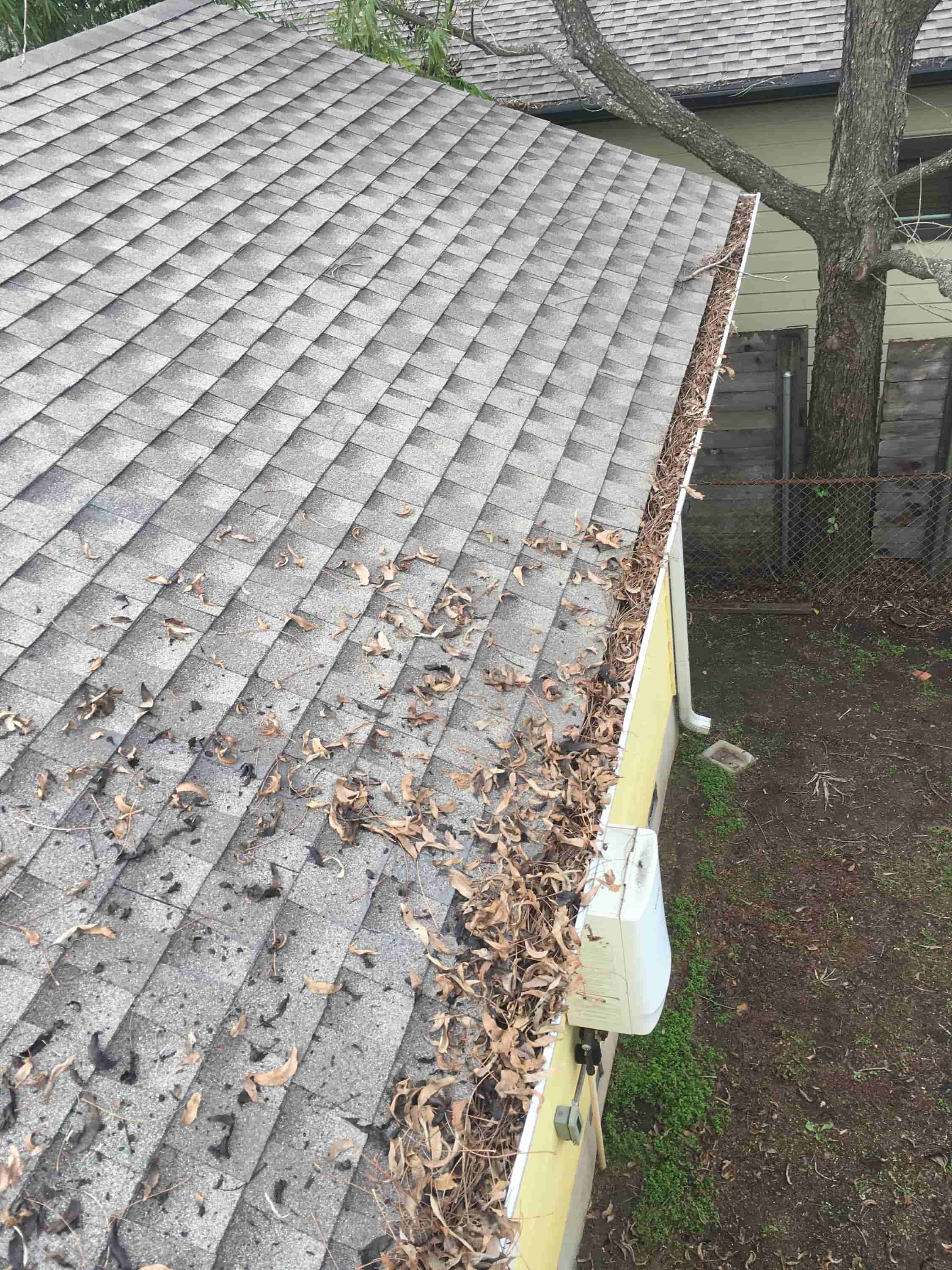 clean roof gutter