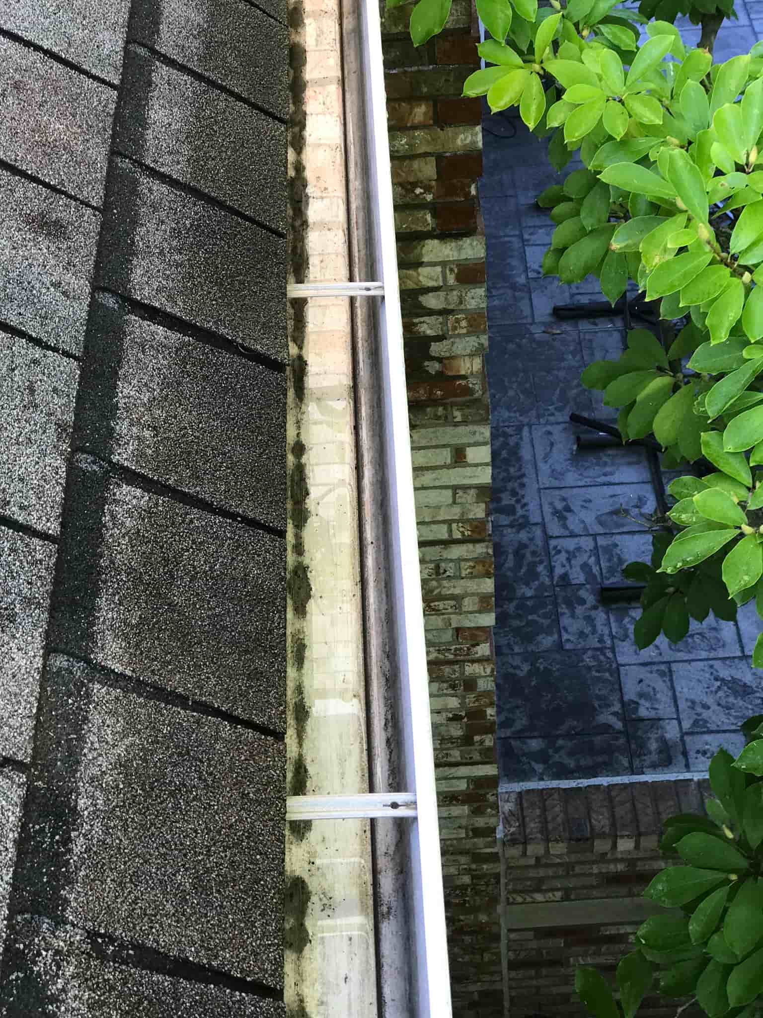 how to clean gutters with ladder