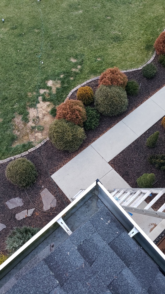 gutter clean quote