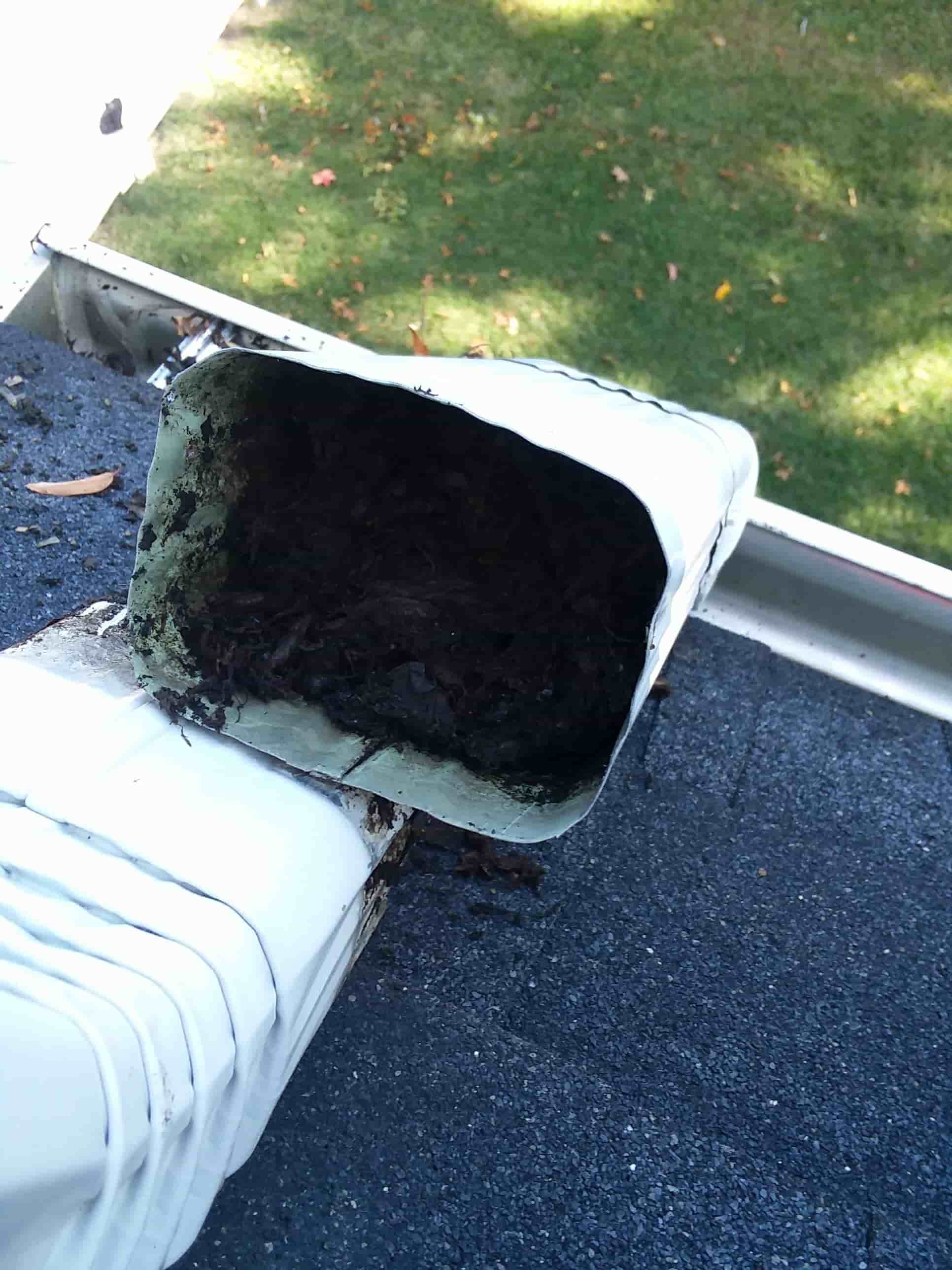 cleaning gutters from the ground