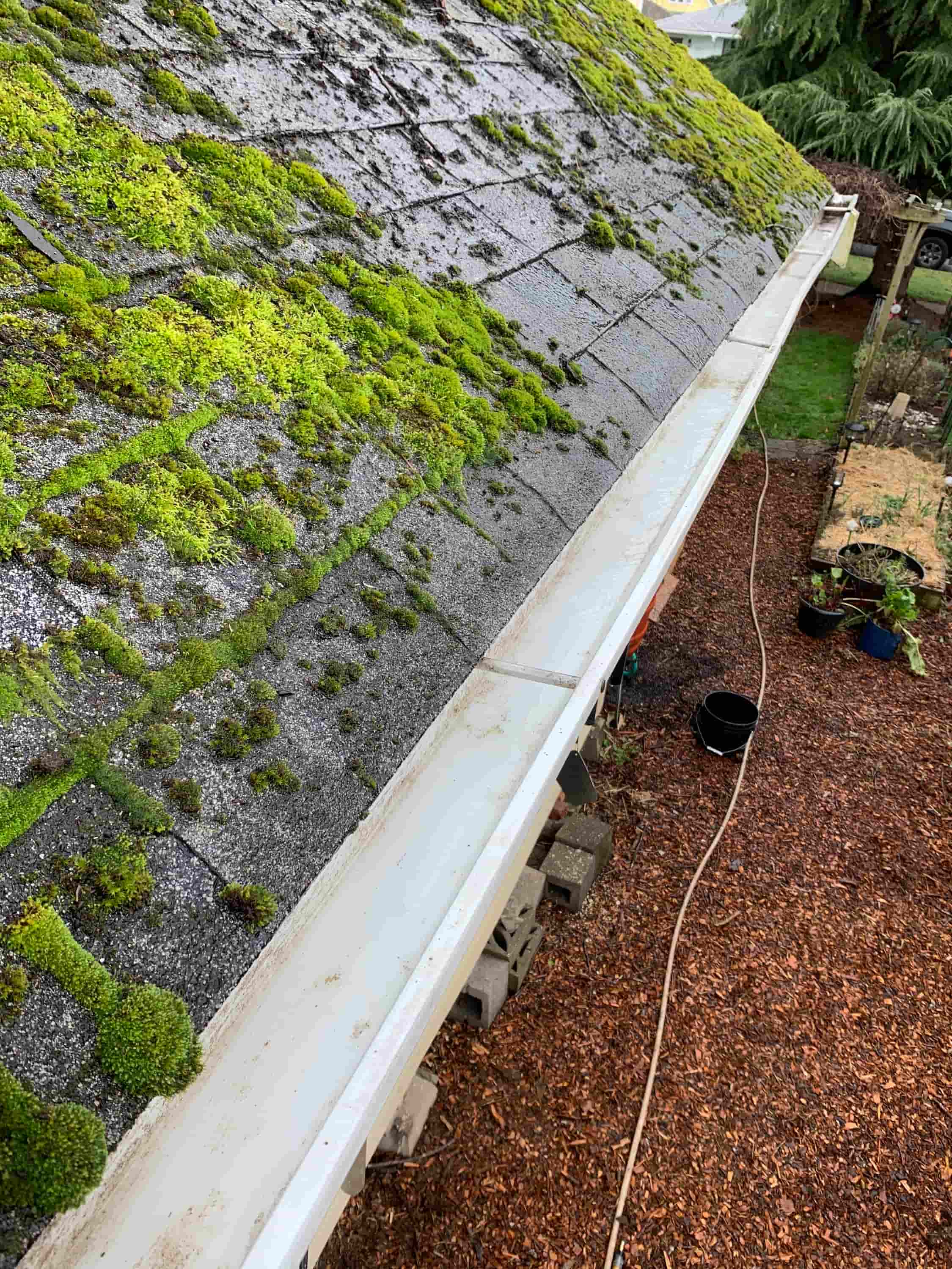 roof gutter cleaners