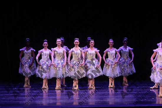 The Weaver Center 2026 Recital & Showcase (PHOTOS)