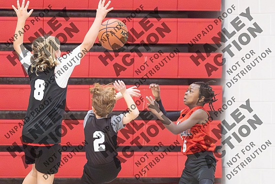 20241217 VBL - 3rd/4th Game 2 [Basketball]