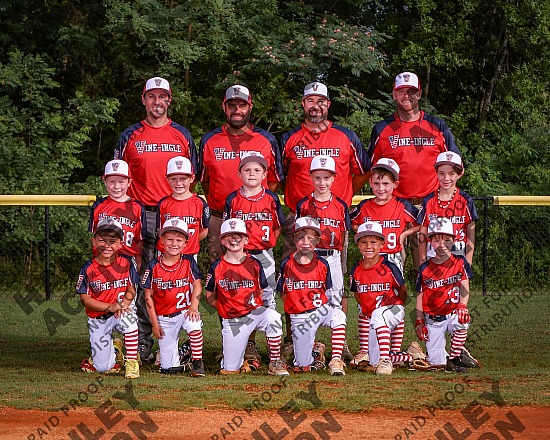 2026 Vine-Ingle All-Stars 7U