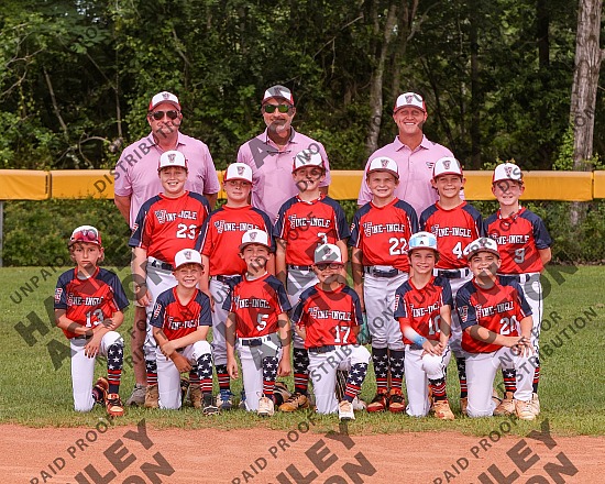 2026 Vine-Ingle All-Stars 9U
