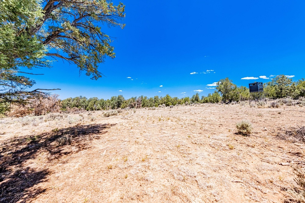 10 Southwest Land and Ranch Estates on the Market Haven Lifestyles