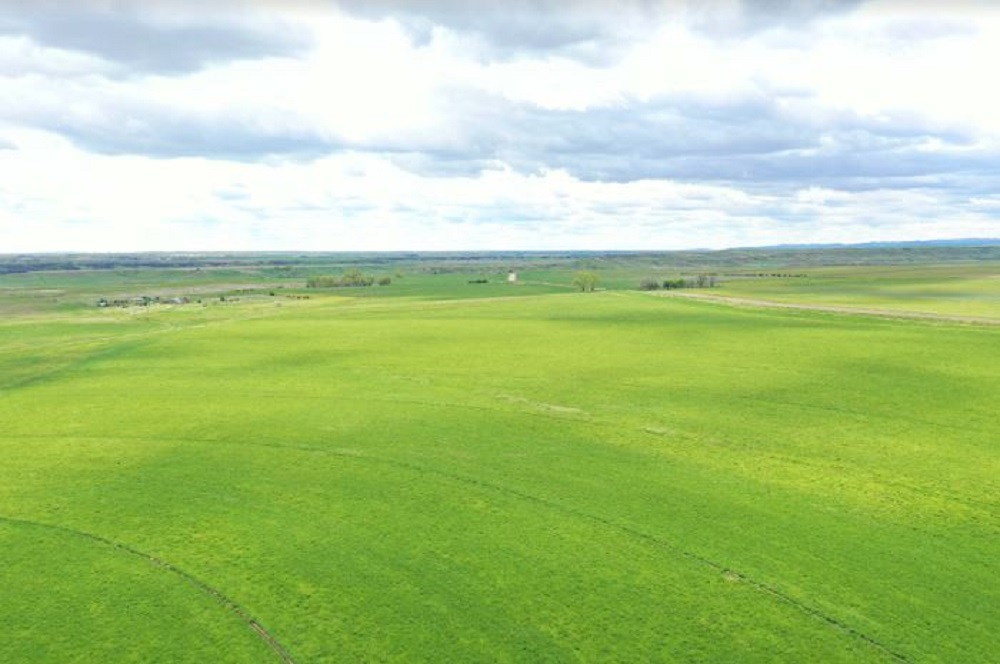 2 Unique Land Opportunities in South Dakota Haven Lifestyles